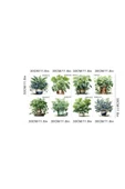 KUZGUN ONLİNE SHOP Pratik Saksılı Çiçek Tasarımlı 8li Sticker Mc-480a ( Lisinya ) - 1