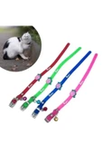 KUZGUN ONLİNE SHOP Çıngıraklı Zilli Sevimli Renkli Slikon Kedi Köpek Boyun Tasması ( Lisinya ) - 1