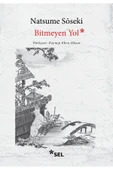 SEL YAYINCILIK Bitmeyen Yol - 1