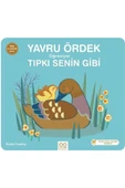 FEİFEİ Yavru Ördek Öğreniyor Tıpkı Senin Gibi - 1