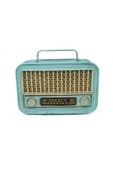 KUZGUN TİCARET Dekoratif Metal Radyo Kumbara - Lisinya - 1