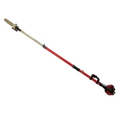 DATSU GZJ 260AE BENZİNLİ  TELESKOPİK DAL BUDAMA - 2