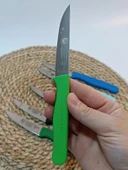 Sürdövbisa 61010 6'lı Meyve Seti (Sivri Uç ) Karma thumbnail 8