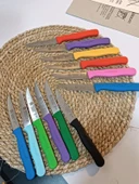 Sürdövbisa 61010 6'lı Meyve Seti (Sivri Uç ) Karma thumbnail 4