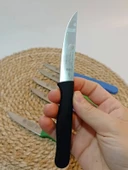 Sürdövbisa 61010 6'lı Meyve Seti (Sivri Uç ) Karma thumbnail 7