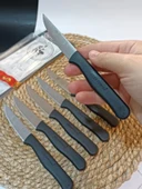 Sürdövbisa 61010 6'lı Meyve Seti (Sivri Uç ) Siyah - 6