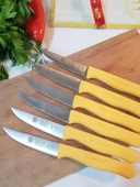 Sürdövbisa 61010 6'lı Meyve Seti (Sivri Uç ) Sarı thumbnail 3