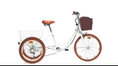 CARRARO CARAVAN KARGO KATLANIR ŞEHİR BİSİKLETİ 410H V 24 JANT 6 VİTES ALTIN BEYAZ SİYAH KAHVERENGİ - 1