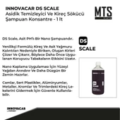 INNOVACAR DS SCALE Asidik Temizleyici Ve Kireç Sökücü Şampuan Konsantre - 1 lt - 2