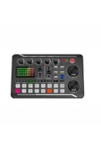 LGT240 Filtreli Condenser Mikrofon F998 Live Plus Ses Kartı ve Standlı Set - 3