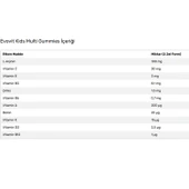 Evovit Kids Multi Gummies 60 Çiğnenebilir Jel Form - 2