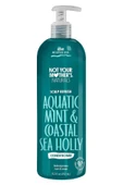 Not Your Mother's Aquatic Mint & Coastal Sea Holly Saç Derisi Bakım Saç Kremi 450ML thumbnail 1