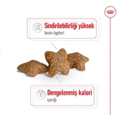 Royal Canin Mini Adult 2 kg Küçük Irk Yetişkin Köpek Maması - 2