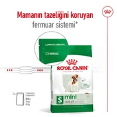 Royal Canin Mini Adult 2 kg Küçük Irk Yetişkin Köpek Maması - 4