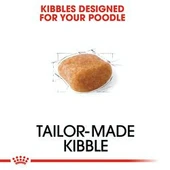 Royal Canin Poodle Adult 3 kg Yetişkin Köpek Maması - 3