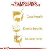Royal Canin Poodle Adult 3 kg Yetişkin Köpek Maması - 2