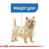 Royal Canin Mini Light Weight Care 3 kg Küçük Irk Yetişkin Köpek Diyet Maması thumbnail 7