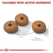 Royal Canin Mini Light Weight Care 3 kg Küçük Irk Yetişkin Köpek Diyet Maması thumbnail 4