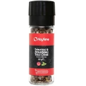 Hayfene Domatesli & Fesleğenli Tuzlu Çeşni 60 g e - 1