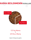 Royal Canin Hair and Skin Care 2 kg Hassas Deri Sahibi Kediler için Mama thumbnail 2