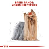 Royal Canin Yorkshire Terrier 1,5 kg Yetişkin Köpek Maması - 7