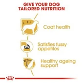Royal Canin Yorkshire Terrier 1,5 kg Yetişkin Köpek Maması - 6