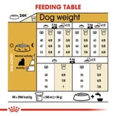 Royal Canin Yorkshire Terrier 1,5 kg Yetişkin Köpek Maması - 5