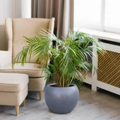 Nettenevime Küre Yuvarlak Top Vazo Dekoratif Saksı ANTRASİT 25*20cm - 2