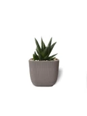 Omnipazar KRS-381 Dekoratif Plastik Mercan Kare Saksı 0.27 Litre No 1 thumbnail 12