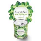 BUFFER® Konserve Bahçem Evde Konservede Sakız Kabak Yetiştirme Kiti - 1