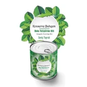 BUFFER® Konserve Bahçem Evde Konservede İri Yapraklı Roka Yetiştirme Kiti - 1