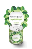 BUFFER® Konserve Bahçem Evde Konservede Sakız Kabak Yetiştirme Kiti - 2