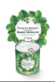 BUFFER® Konserve Bahçem Evde Konservede İri Maydanoz Yetiştirme Kiti - 2