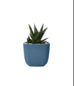 Omnipazar KRS-382 Dekoratif Plastik Mercan Kare Saksı 0.67 Litre No 2 thumbnail 12