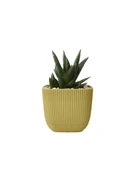 Omnipazar KRS-382 Dekoratif Plastik Mercan Kare Saksı 0.67 Litre No 2 thumbnail 2