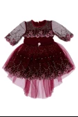 Kız Çocuk Elbise Tüllü - 2