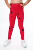 Toontoy Kız Çocuk Baskılı Tayt - 2