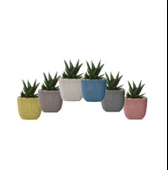 Omnipazar KRS-382 Dekoratif Plastik Mercan Kare Saksı 0.67 lt 6 Renk Set thumbnail 2