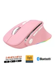 Sarftech Kablosuz Ergonomik Zarif Tasarım RGB Dual Moude 2.4Ghz+BT5.0 Ofis ve Gaming Oyuncu Faresi - 1