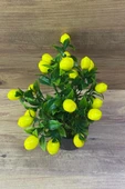 Yapay Limon Ağacı Dekoratif Limon Plastik Saksıda Limon Ağacı - 3