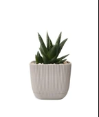 Omnipazar KRS-383 Dekoratif Plastik Mercan Kare Saksı 1.8 Litre No 3 thumbnail 12