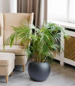 Nettenevime Küre Yuvarlak Top Vazo Dekoratif Saksı ANTRASİT 38*30cm - 6