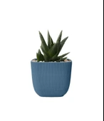 Omnipazar KRS-384 Dekoratif Plastik Mercan Kare Saksı 4 Litre No 4 thumbnail 12