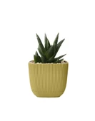 Omnipazar KRS-384 Dekoratif Plastik Mercan Kare Saksı 4 Litre No 4 thumbnail 7