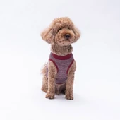 PawStar Bordo Space Time T-Shirt Küçük Irk thumbnail 3