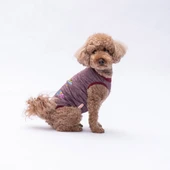 PawStar Bordo Space Time T-Shirt Küçük Irk thumbnail 2