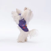 PawStar Mor Space Time T-Shirt Küçük Irk - 2