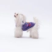 PawStar Mor Space Time T-Shirt Küçük Irk - 1