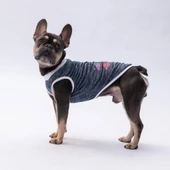 PawStar Lacivert Space Time T-Shirt Küçük Irk thumbnail 3