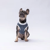 PawStar Lacivert Space Time T-Shirt Küçük Irk thumbnail 2